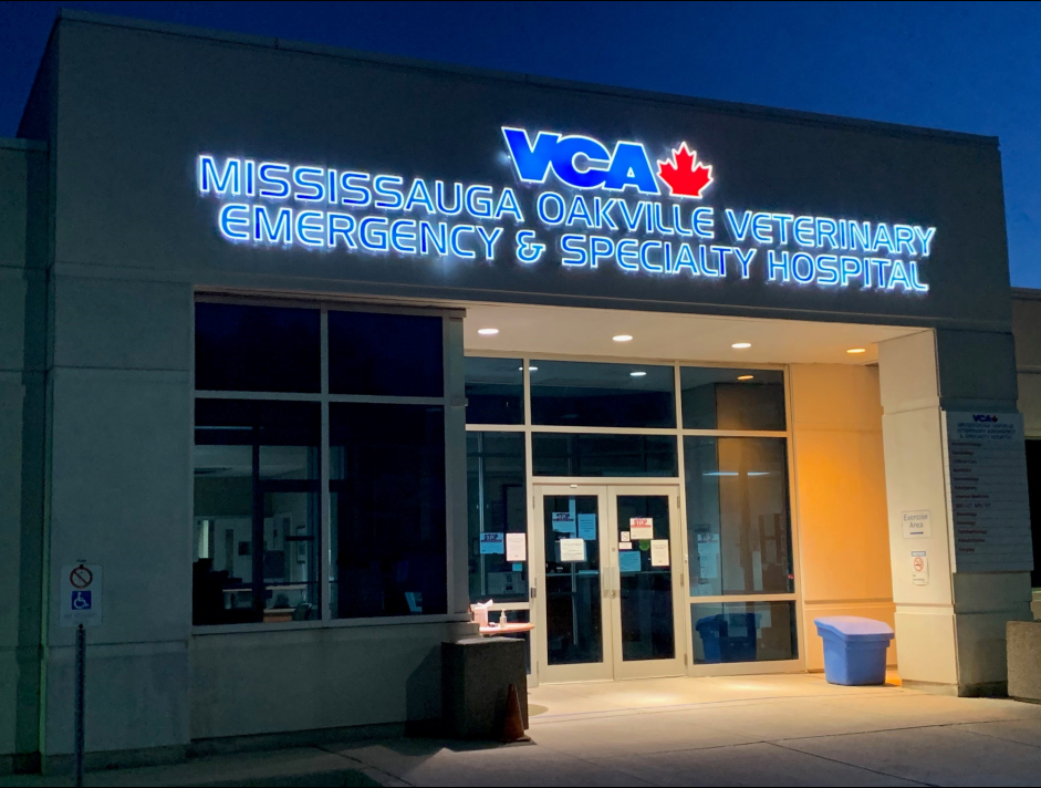 Mississauga Oakville Veterinary Emergency Specialty Hospital