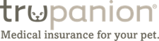 Trupanion pet insurance Canada