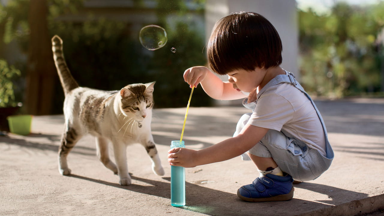 VCA CareClub , | VCA Canada Animal Hospitals