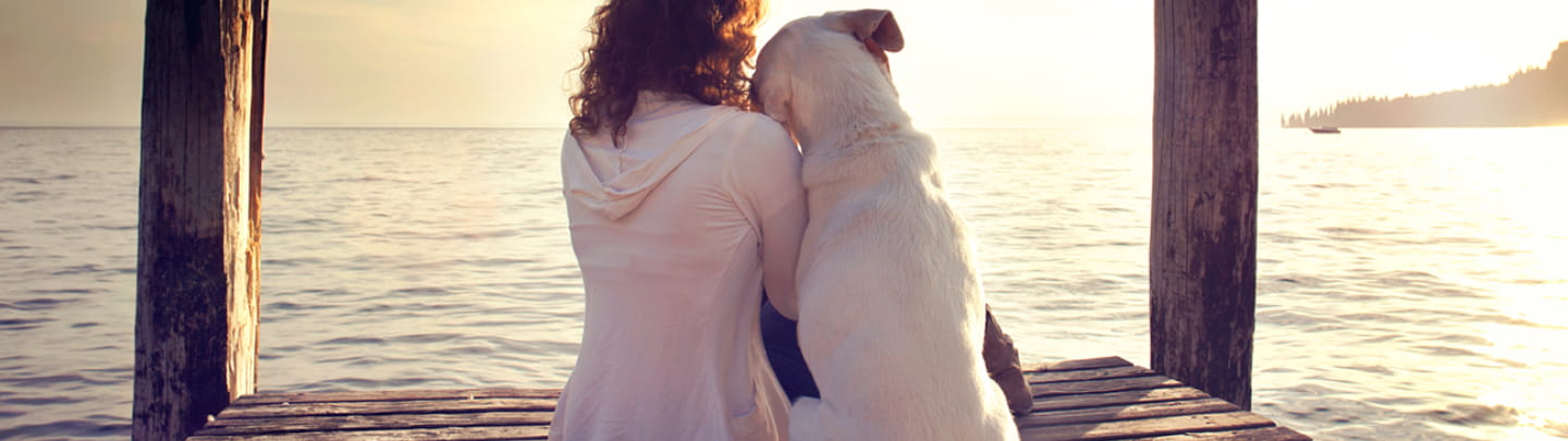 /-/media/2/vca-canada/images/global-images/1440x405/1440x405_2.jpg?rev=cd25469b3baf4825887fe3cd737b68fa