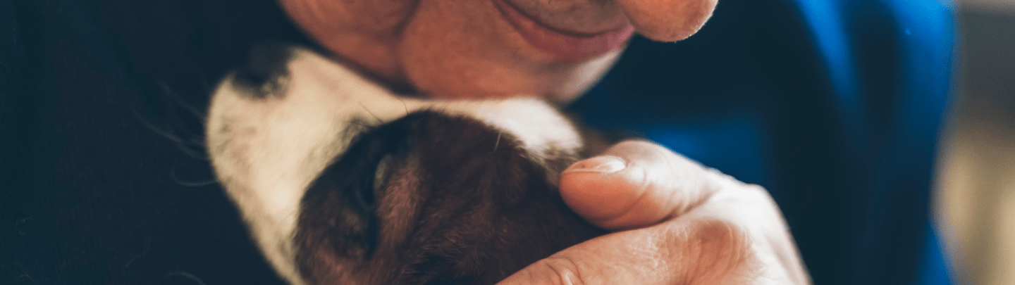 /-/media/2/vca-canada/images/global-images/1440x405/1440x405_alt-medicine.png?rev=757de284762b4c7baedc997bf768e05d