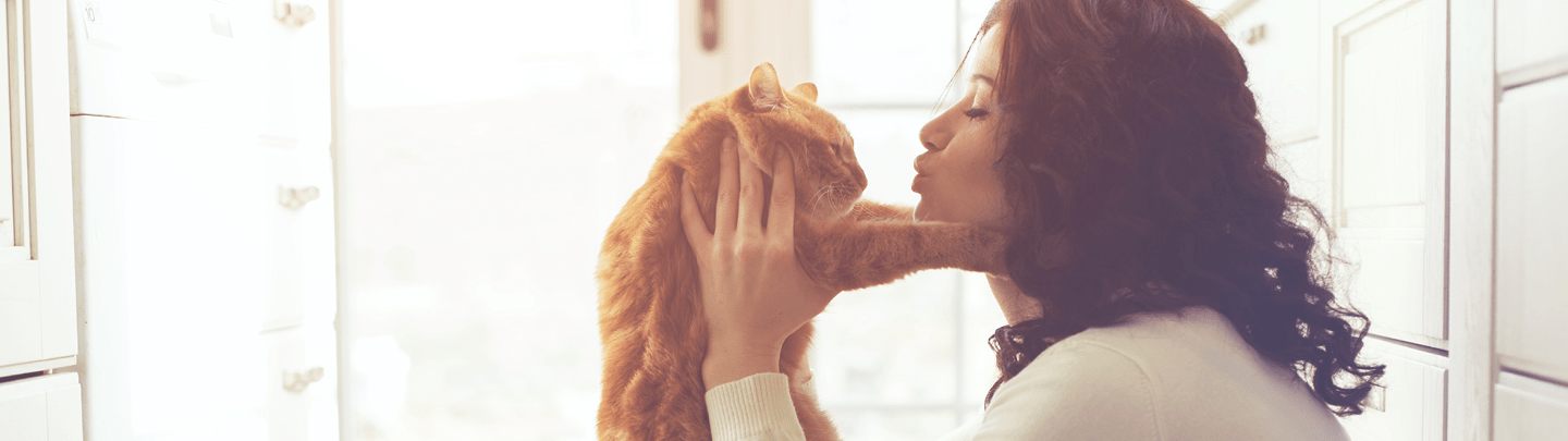 /-/media/2/vca-canada/images/global-images/1440x405/1440x405_diag-ultrasound.png?rev=286522aa975049e89b466576da7d4886