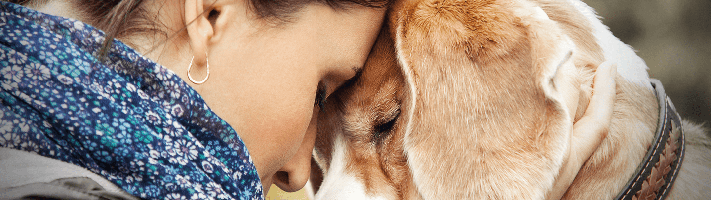 /-/media/2/vca-canada/images/global-images/1440x405/1440x405_emerg-care.png?rev=768c985d8920422cb5fa6b0571622036