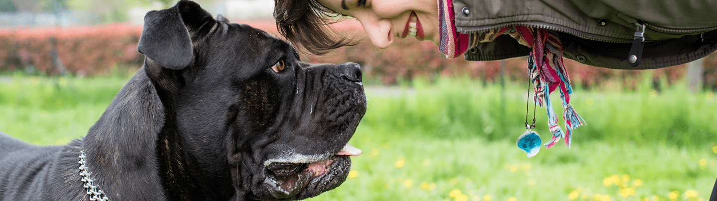 /-/media/2/vca-canada/images/global-images/1440x405/1440x405_endo.png?rev=cf71c1deb9884a2b807b8e6001660d5a