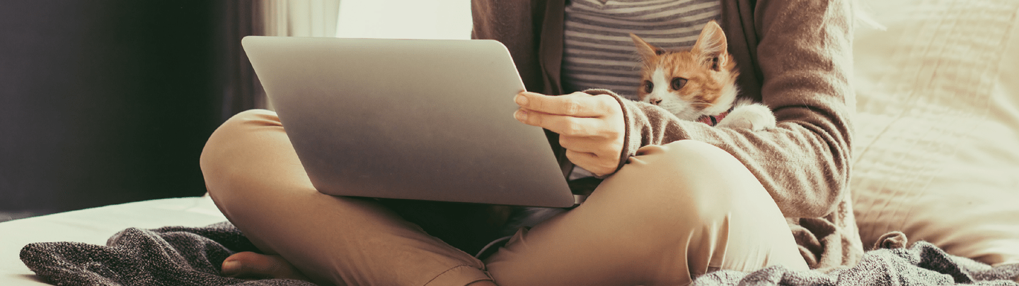 /-/media/2/vca-canada/images/global-images/1440x405/1440x405_for-vets-newsletters.png?rev=148d115f849349e5b07be54ffe0de614