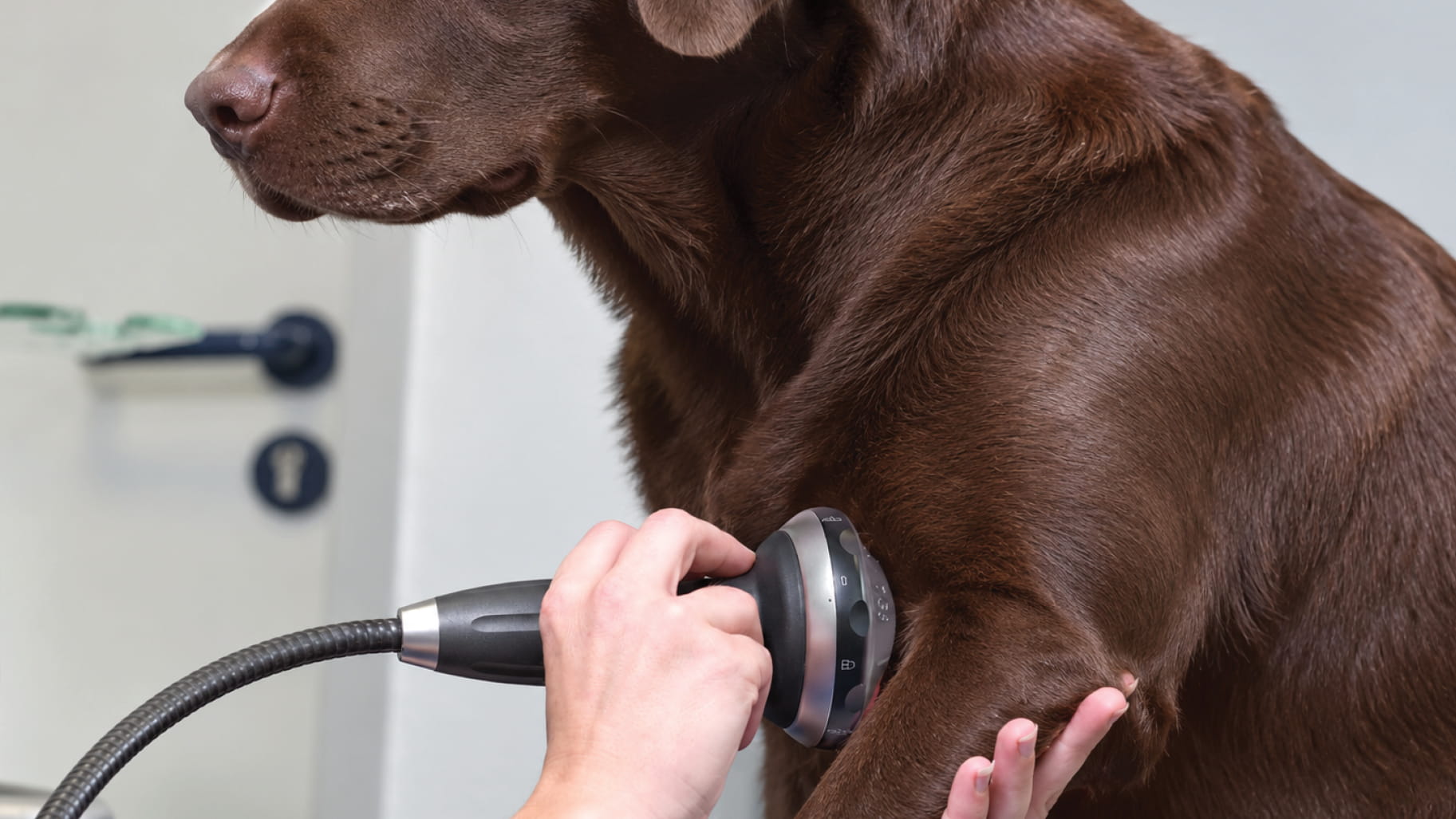 Shockwave Therapy