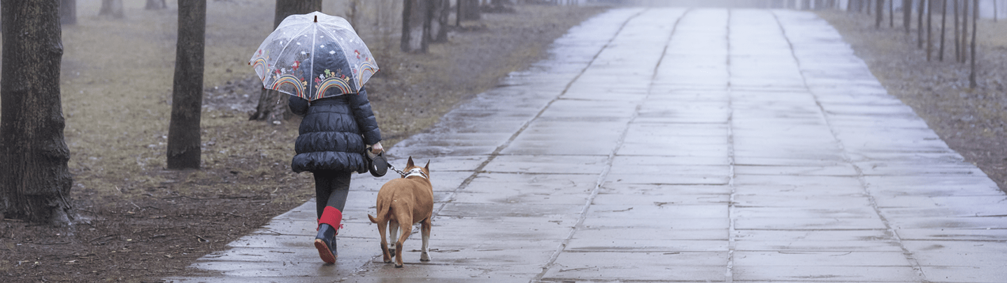 /-/media/2/vca-canada/images/global-images/1440x405_payments.png?rev=4c692b75fc694154a63a145c0d7979b1