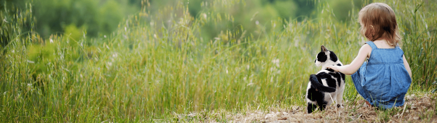 /-/media/2/vca-canada/images/global-images/1440x405_vcac_services_behaviour.png?rev=704016b058d14d44b6853c1282abad0d