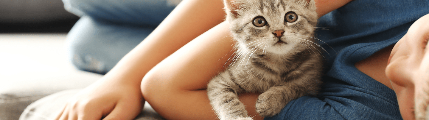 /-/media/2/vca-canada/images/global-images/1440x405_vcac_services_diagnostics.png?rev=1760315387ff4fcea459765e37063ce1