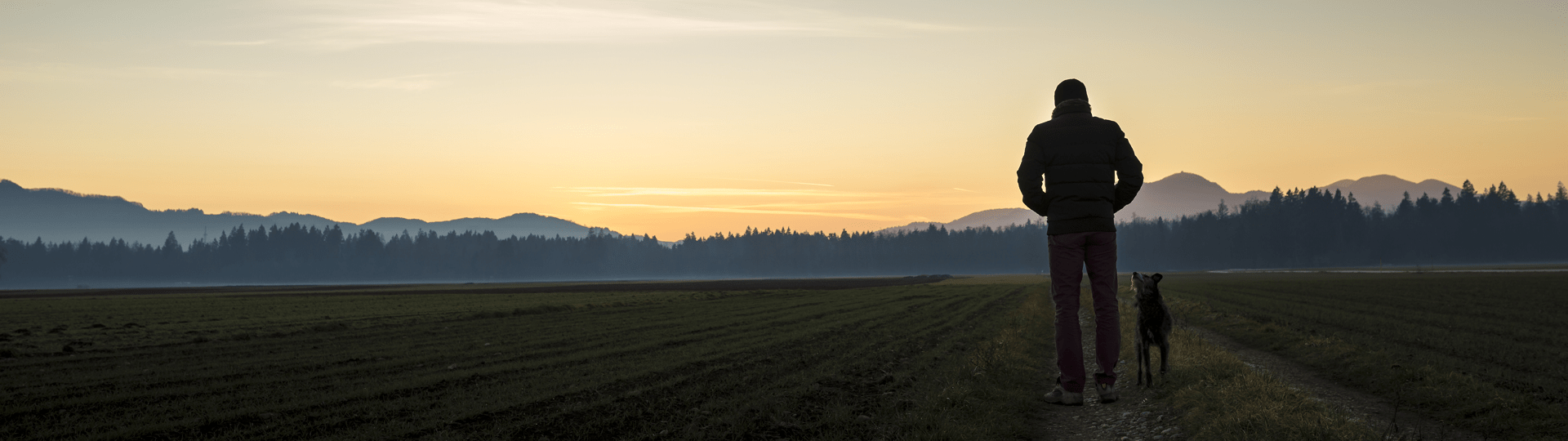 /-/media/2/vca-canada/images/global-images/1440x405_vcac_services_oncology.png?rev=4d383b3eda7045b08a24abe974194a89