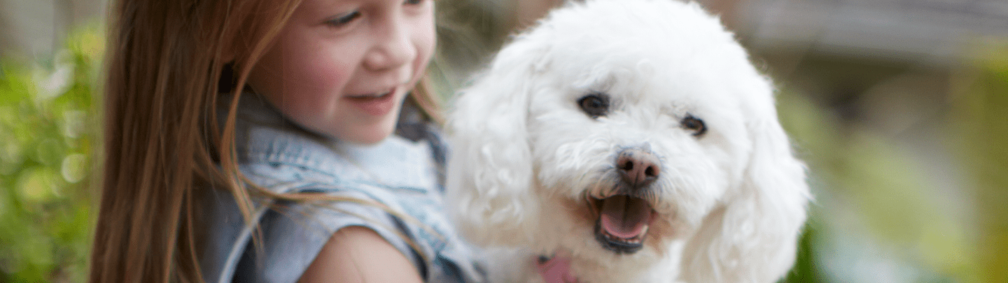 /-/media/2/vca-canada/images/global-images/1440x405_vcac_services_ophtalmology.png?rev=45c37b8fff674cfbb3b067b69999c4ee