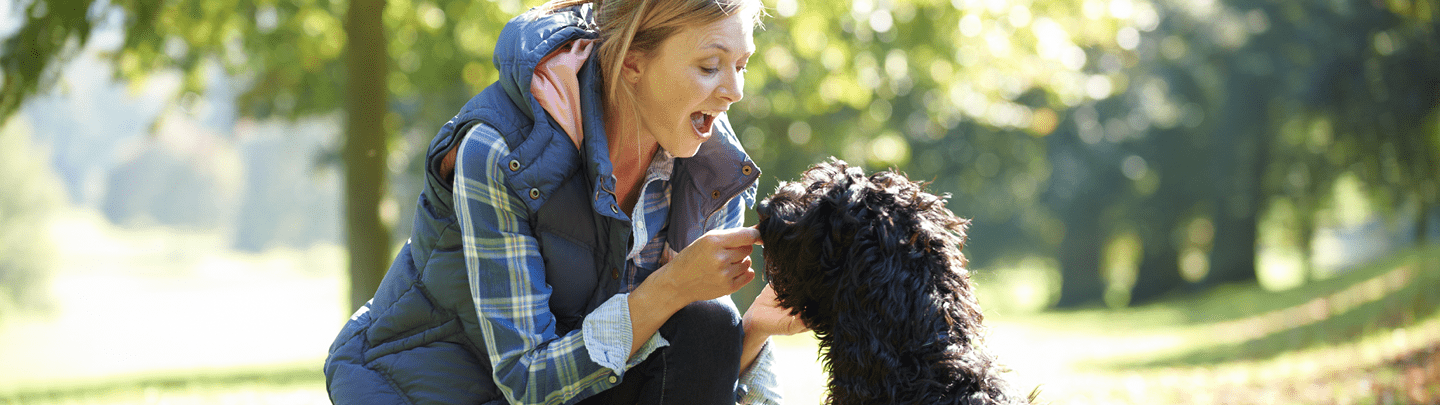 /-/media/2/vca-canada/images/global-images/1440x405_vcac_services_pharmacy.png?rev=e252b7a8b19245a59b293263c0a72f85