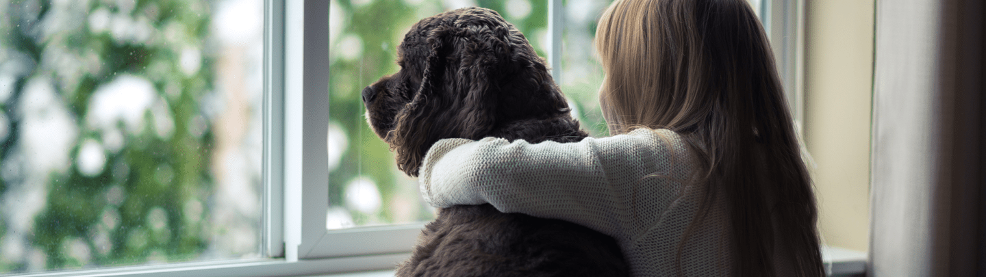 /-/media/2/vca-canada/images/global-images/1440x405_vcac_services_primarycare.png?rev=5ee5876471ef470c81ed23dc3ab3778f