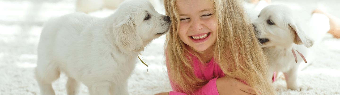 /-/media/2/vca-canada/images/global-images/1440x405_vcac_services_surgery.png?rev=731b27fba92c4a0b8f599853b9a3b233