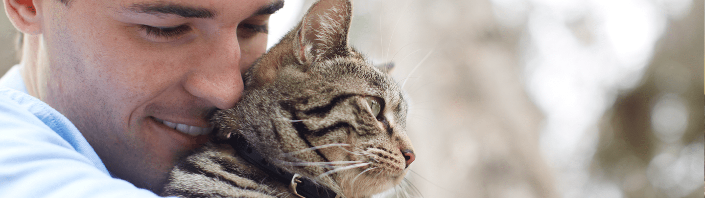 /-/media/2/vca-canada/images/global-images/1440x405_vcac_services_sx5.png?rev=002f25bfe7c345a29f329de208136509