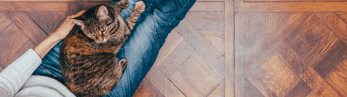 /-/media/2/vca-canada/images/global-images/1440x405_vcac_wellness2020.png?rev=e2f5846bbac44d1c945570e72077b253&sc_lang=en