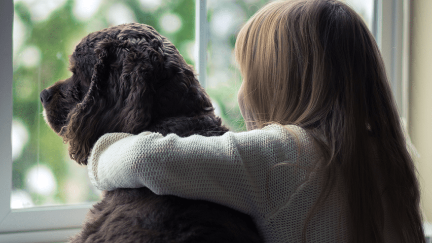 /-/media/2/vca-canada/images/global-images/876x493_vcac_services_th_primarycare.png?rev=7cbe884080e34e99bfaafab642177446