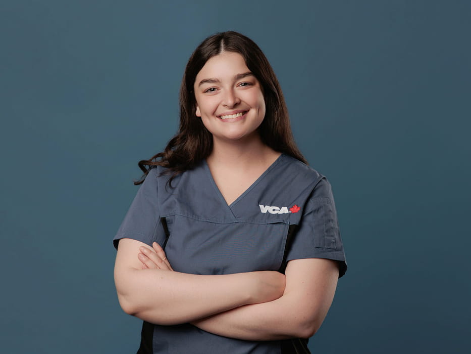 Dr Jensen