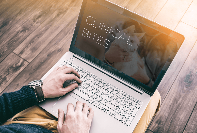 /-/media/2/vca-canada/images/hospitals/canada/alberta/western/800x540_wvsp_bites.png?rev=1a5fea64fb6b46c5bc8373aeebdef59a&sc_lang=en