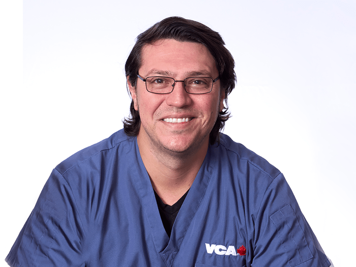 Western Veterinary Specialist & Emergency Centre  Team