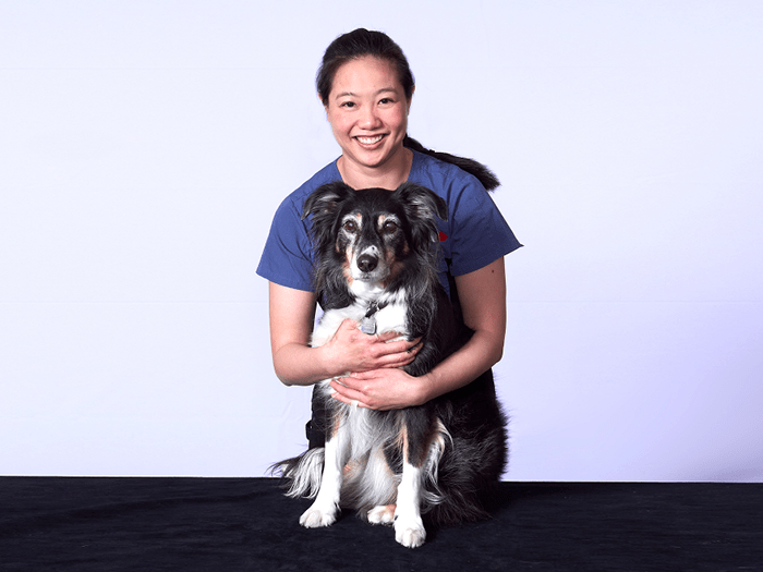 Western Veterinary Specialist & Emergency Centre Team