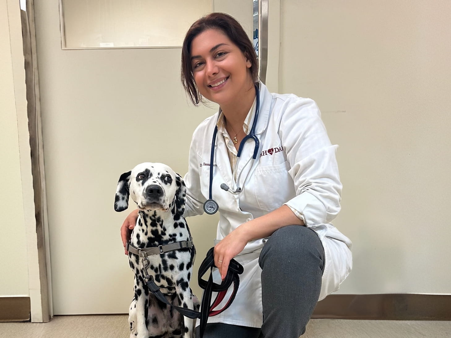 Dr Ida