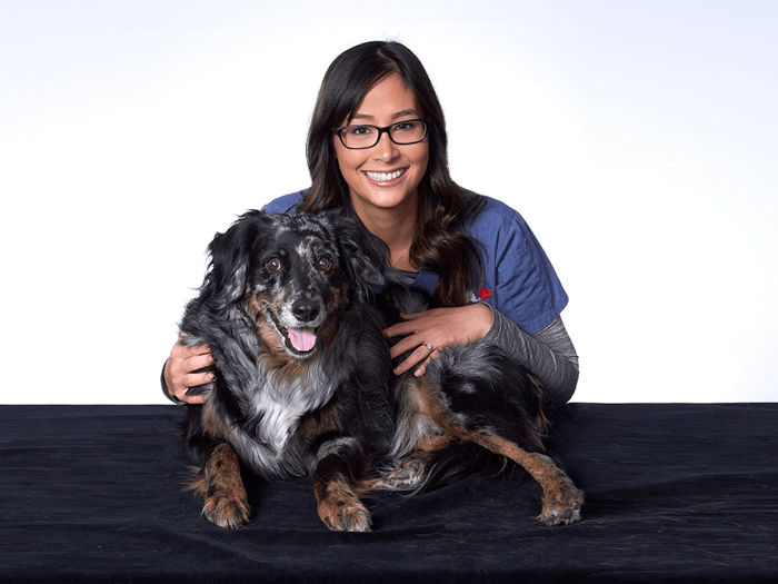 Western Veterinary Specialist & Emergency Centre Team