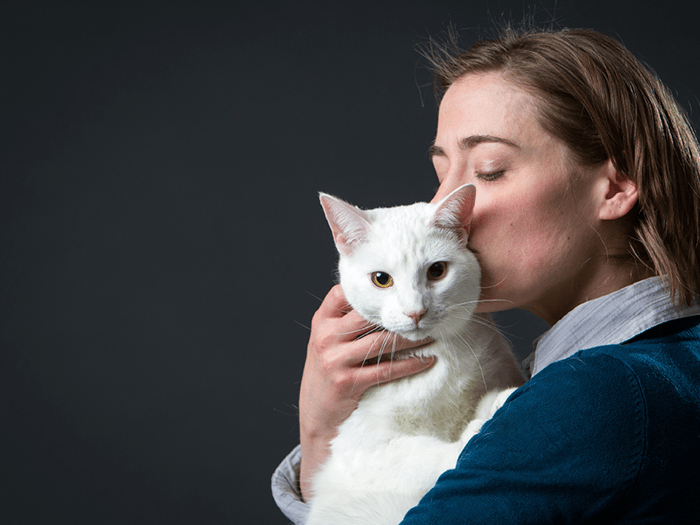 Veterinarian at Alta Vista Animal Hospital