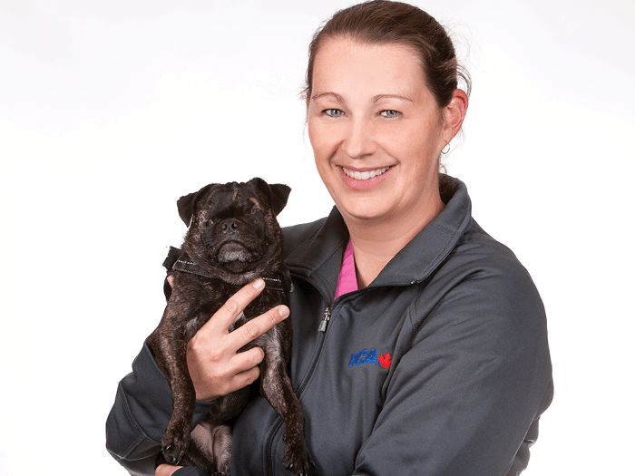 VCA Canada Bells Corners Team