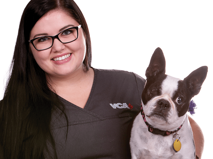 VCA Canada Blair Animal Hospital Team