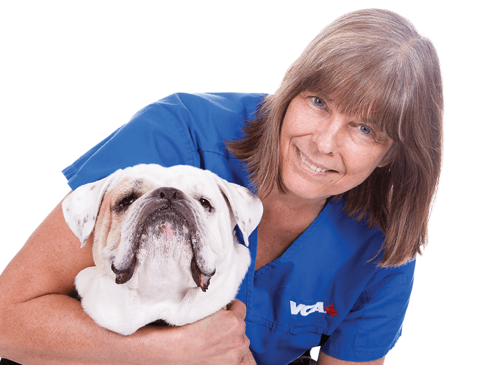 VCA Canada Blair Animal Hospital Team