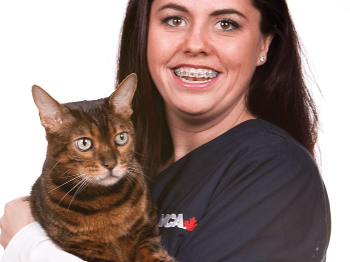 VCA Canada Blair Animal Hospital Team