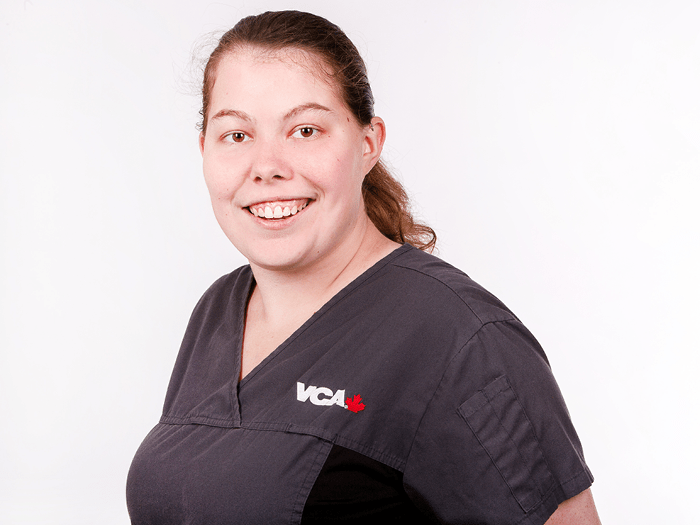 Credit Valley Animal Hospital