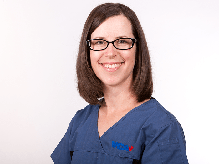 Credit Valley Animal Hospital