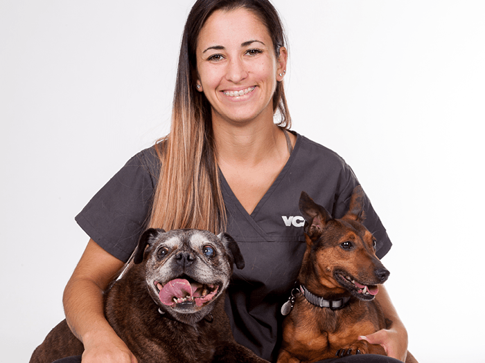 Credit Valley Animal Hospital