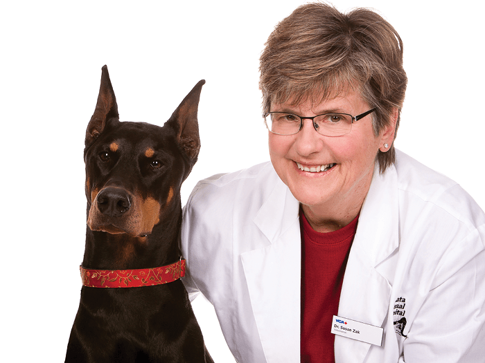 Kanata Animal Hospital Team