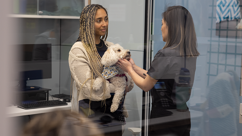 824x463_hybrid-landing-page_primary