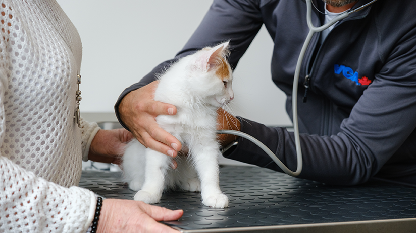 824x463_hybrid-landing-page_specialty