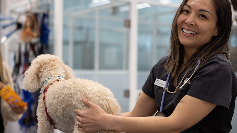 824x463_ask_questions