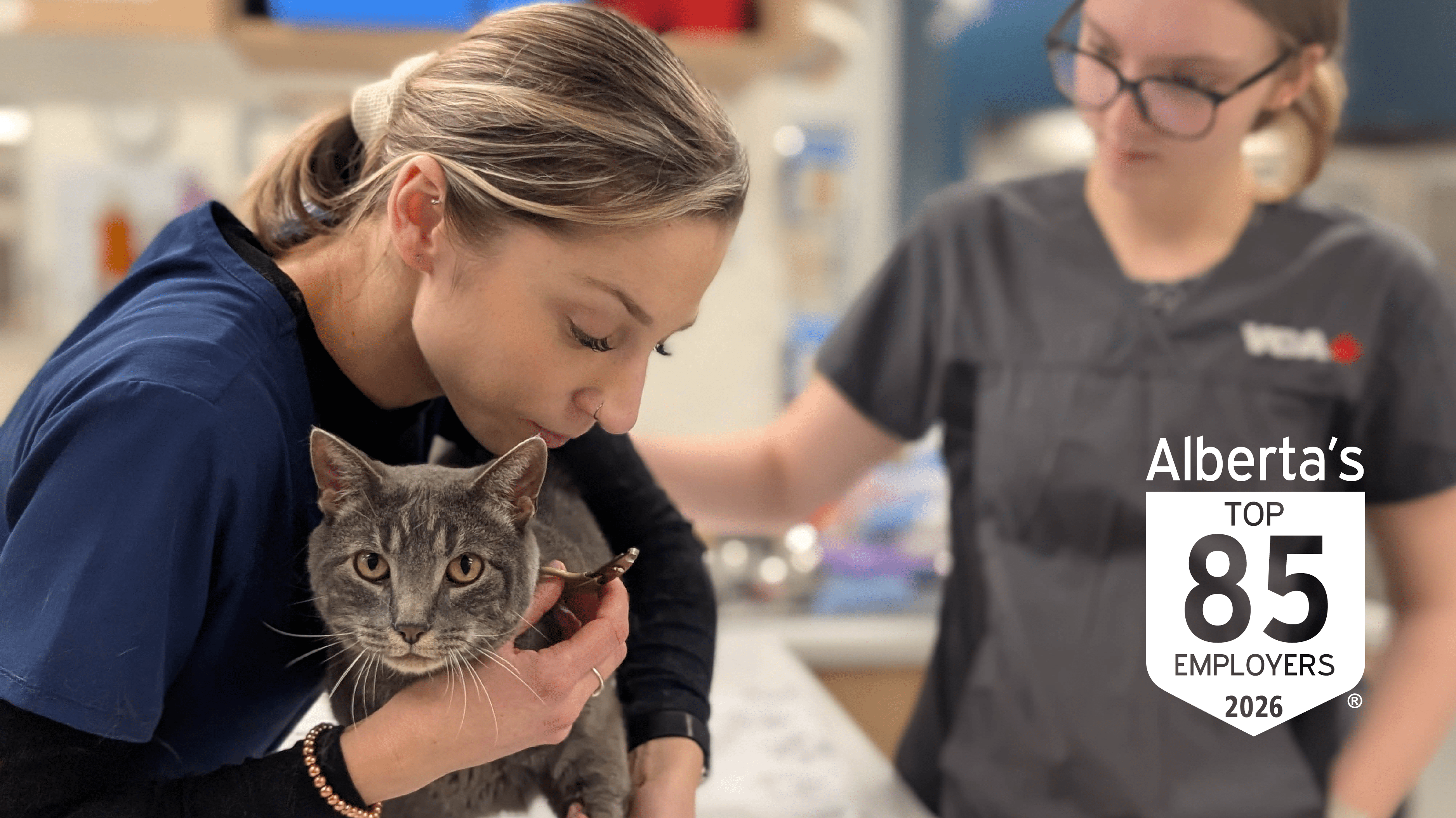 Alberta Top Employer 2026