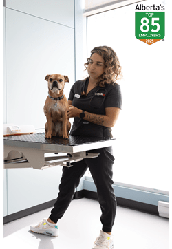 Alberta Top Employer