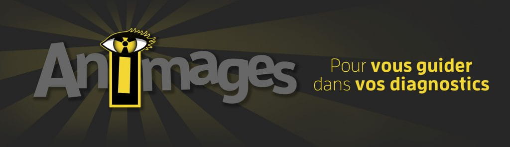 SERVICE VÉTÉRINAIRE D'IMAGERIE MÉDICALE ANIMAGES INC