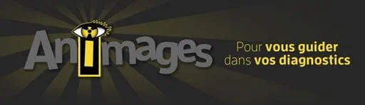 SERVICE VÉTÉRINAIRE D'IMAGERIE MÉDICALE ANIMAGES INC