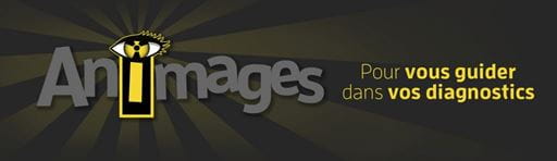 SERVICE VÉTÉRINAIRE D'IMAGERIE MÉDICALE ANIMAGES INC