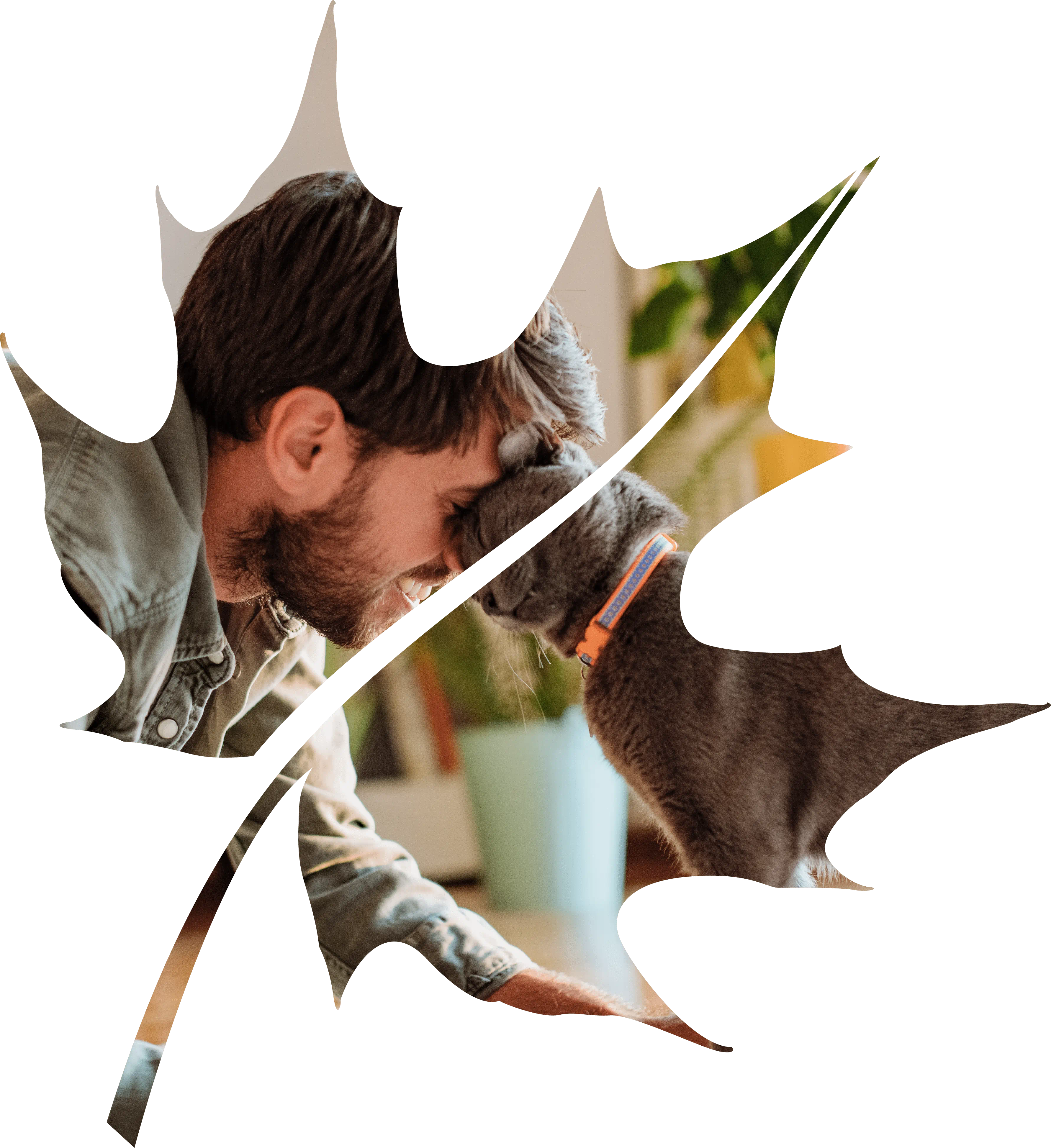 Animal Hospitals, Veterinarians & Emergency Vets | VCA Canada