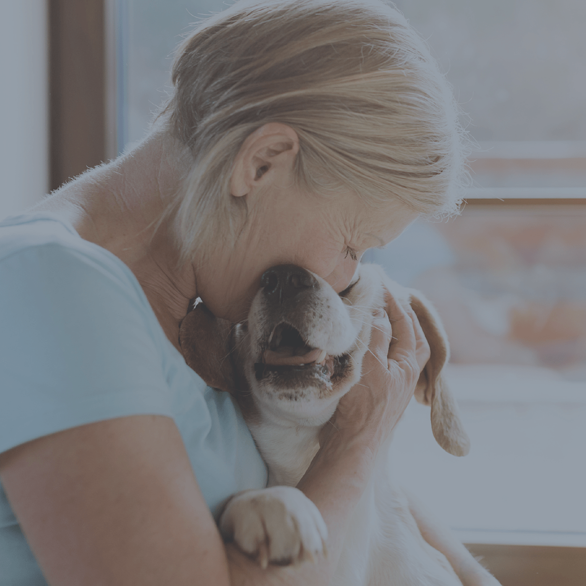Animal Hospitals, Veterinarians & Emergency Vets | VCA Canada