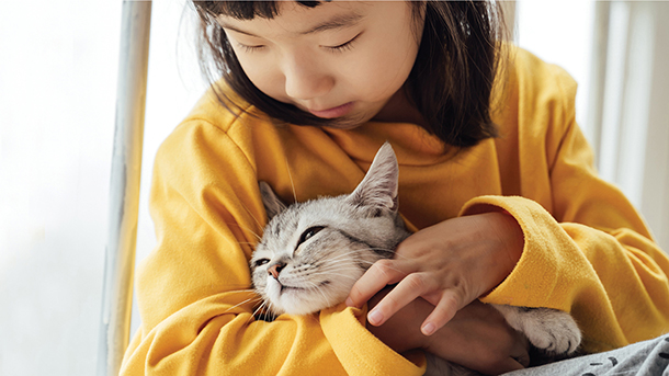 Little girl with gray cat