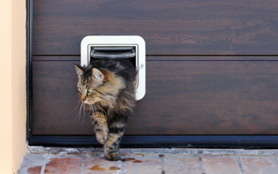 Cat door with outlet collar sensor