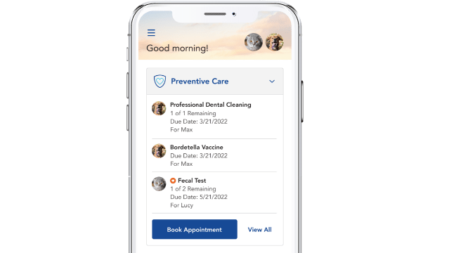 preventive care reminders