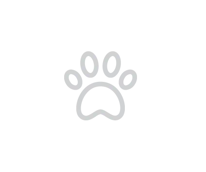 paw print icon